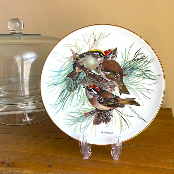 ALT | Vtg Finecrest Collectors Plate European Songbird Series Germany 1986 - Picture 4 of 6